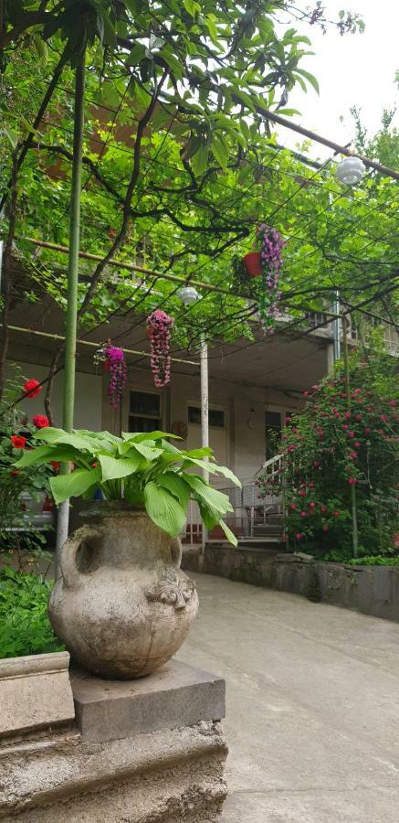 Babibu Hotel Mtsʼkhetʼa Екстериор снимка